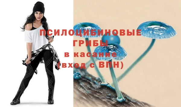 таблы Семёнов