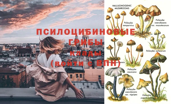 СК Алексеевка